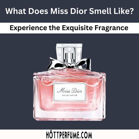 free miss dior|what does miss dior perfume smell like.